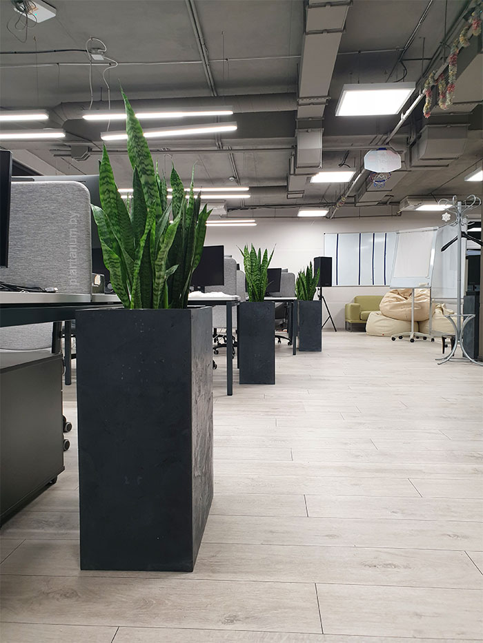 Dynamic Content Image