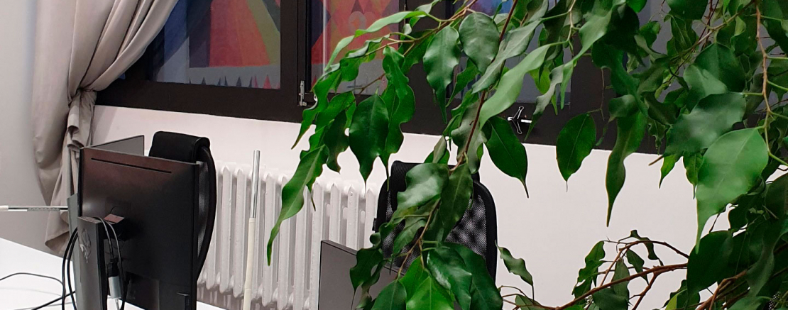 Как зелень влияет на наше здоровье и самочувствие?