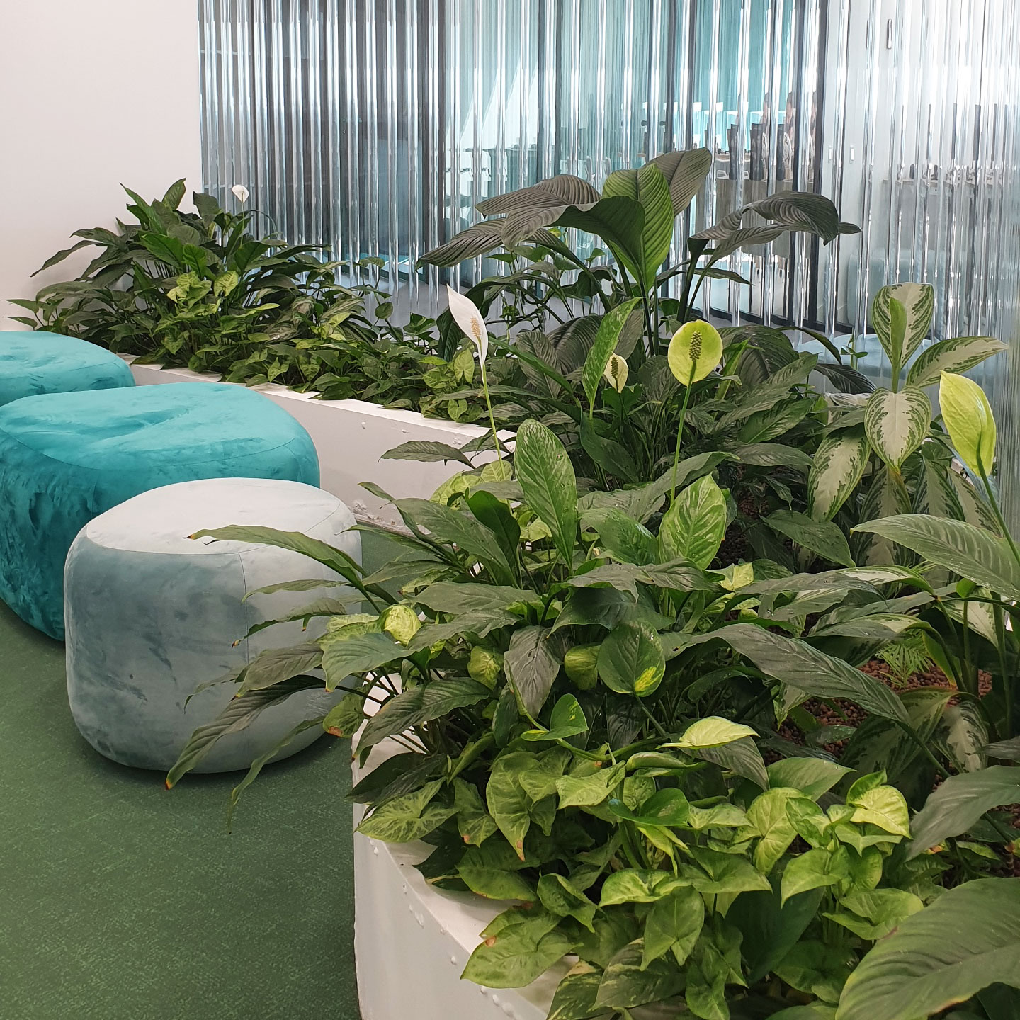 Dynamic Content Image