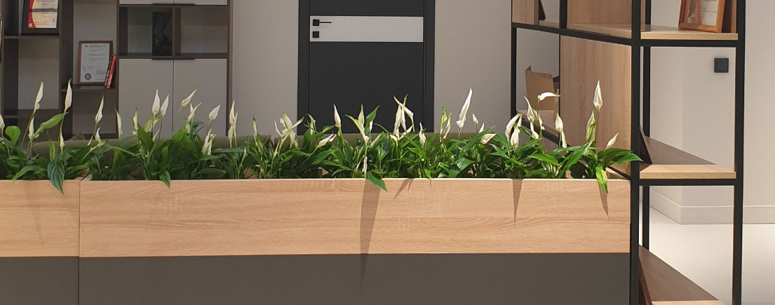 График ухода за растениями