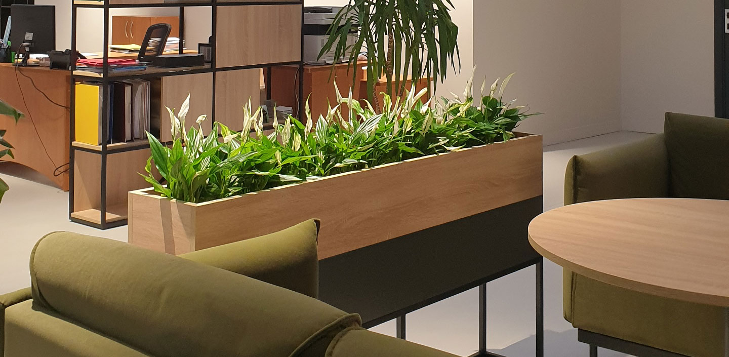 Dynamic Content Image