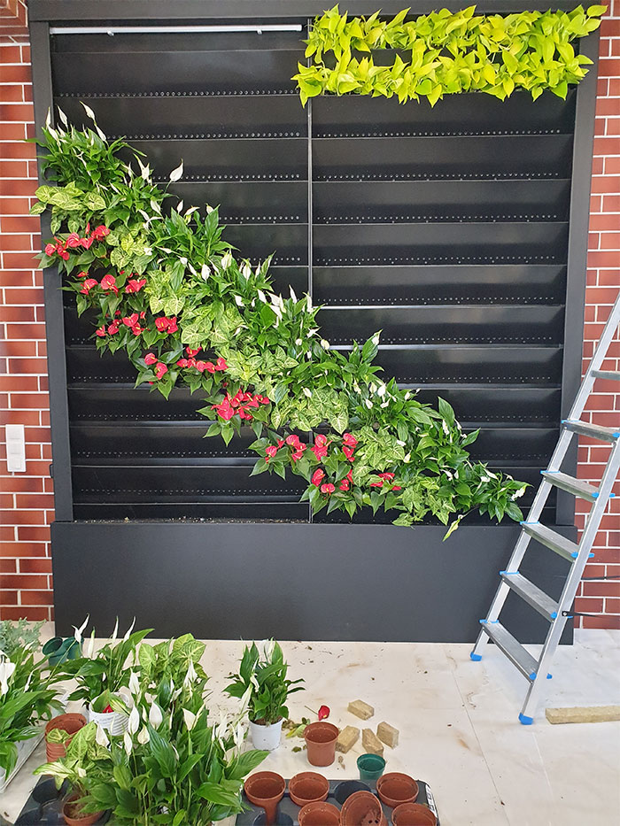 Вертикальное озеленение г. Минск