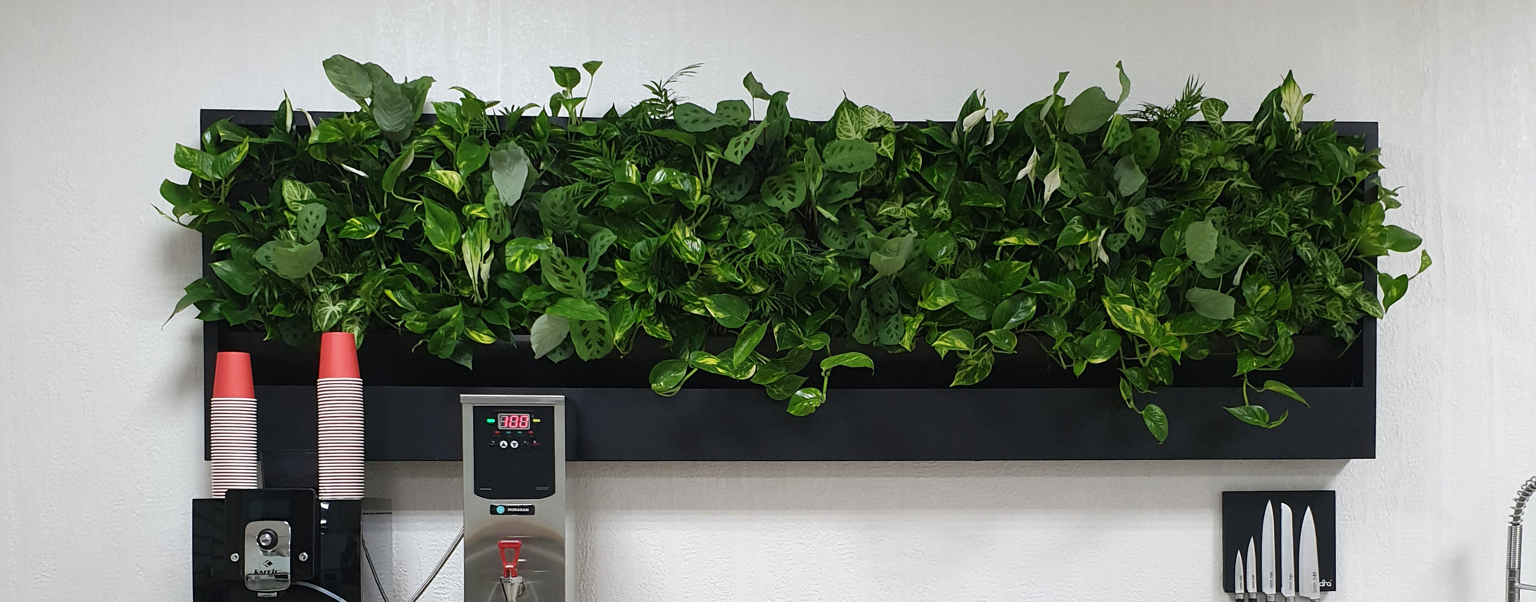 Dynamic Content Image