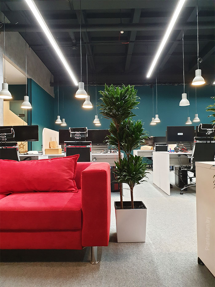 Dynamic Content Image