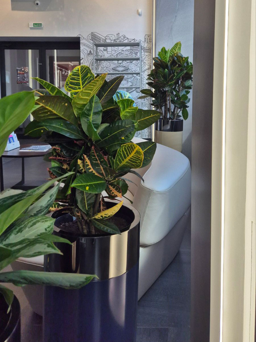 Dynamic Content Image