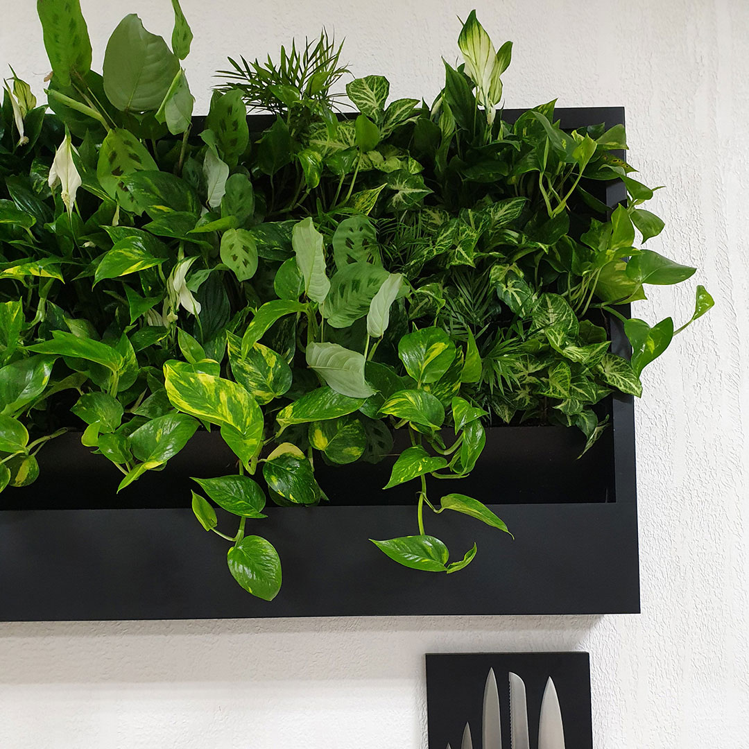 Интеграция природы и технологий. Image