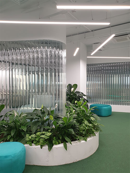 Фитодизайн интерьеров