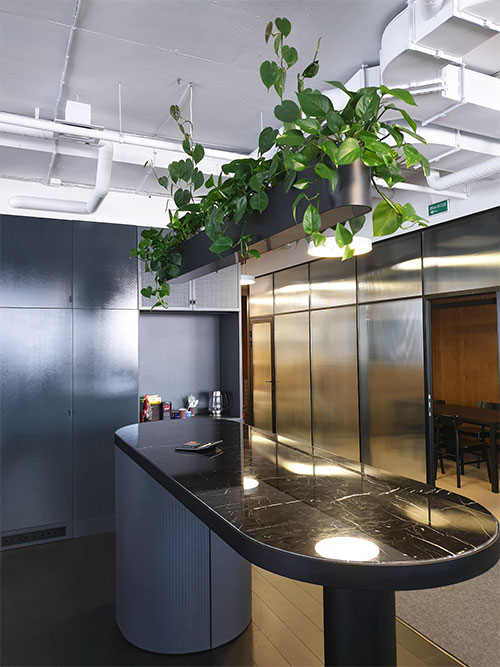 Озеленение офисов GreenFrame