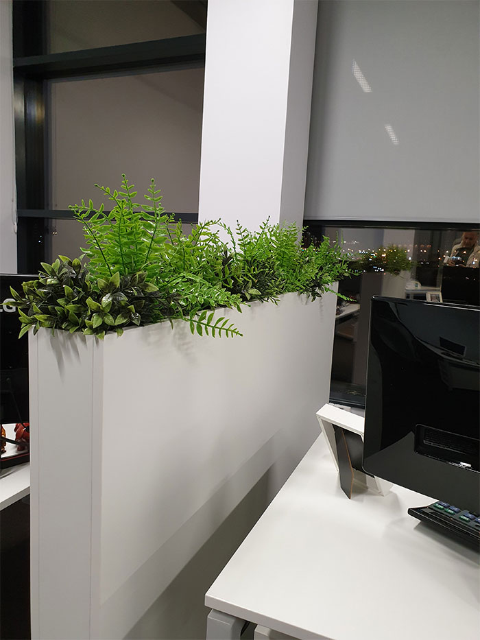 Dynamic Content Image