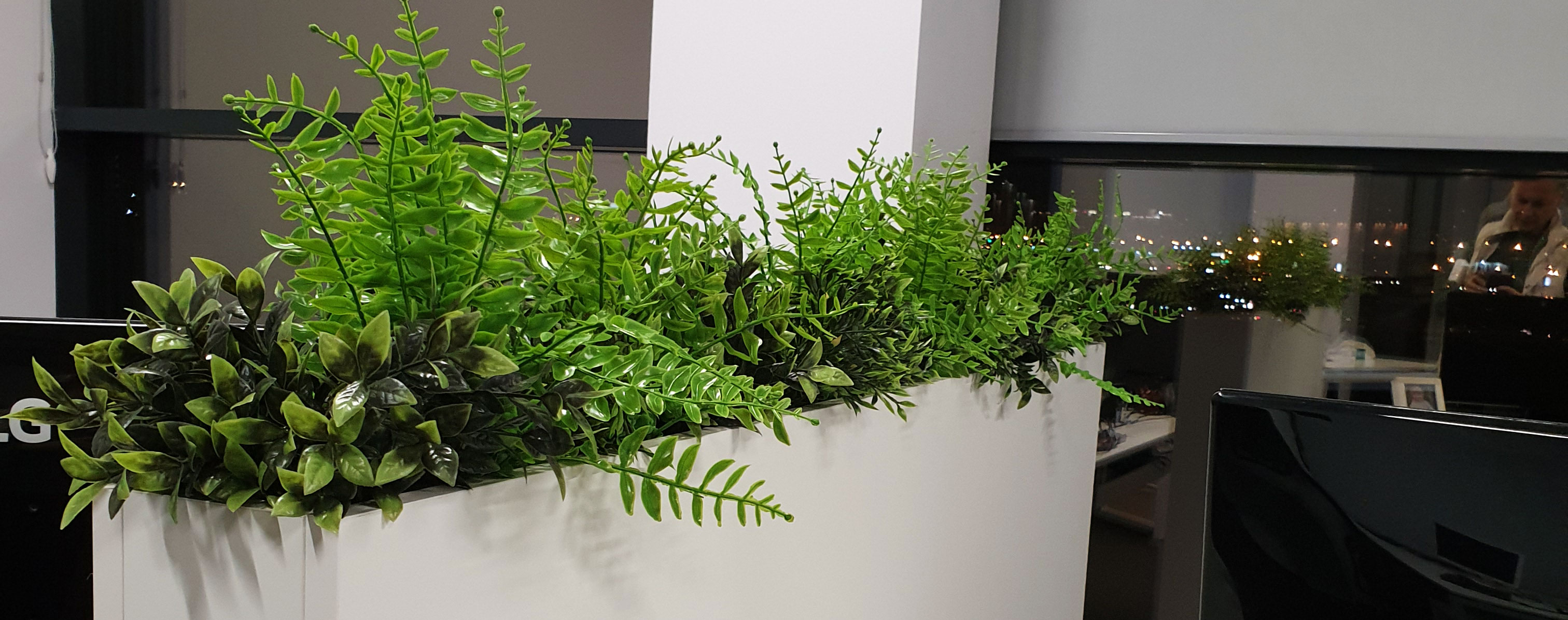 Dynamic Content Image