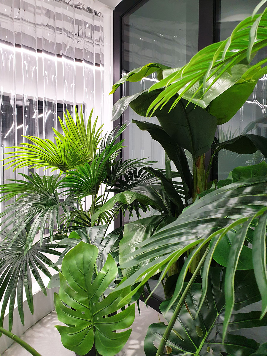 Dynamic Content Image