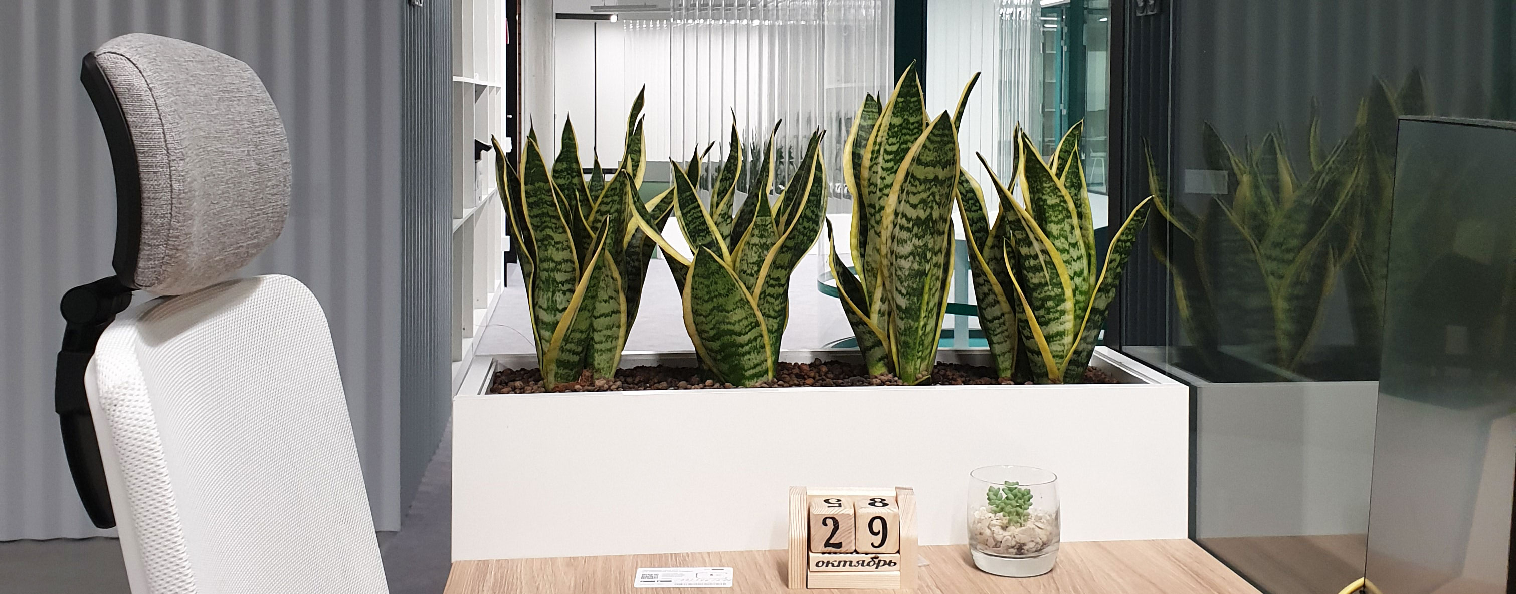 Dynamic Content Image