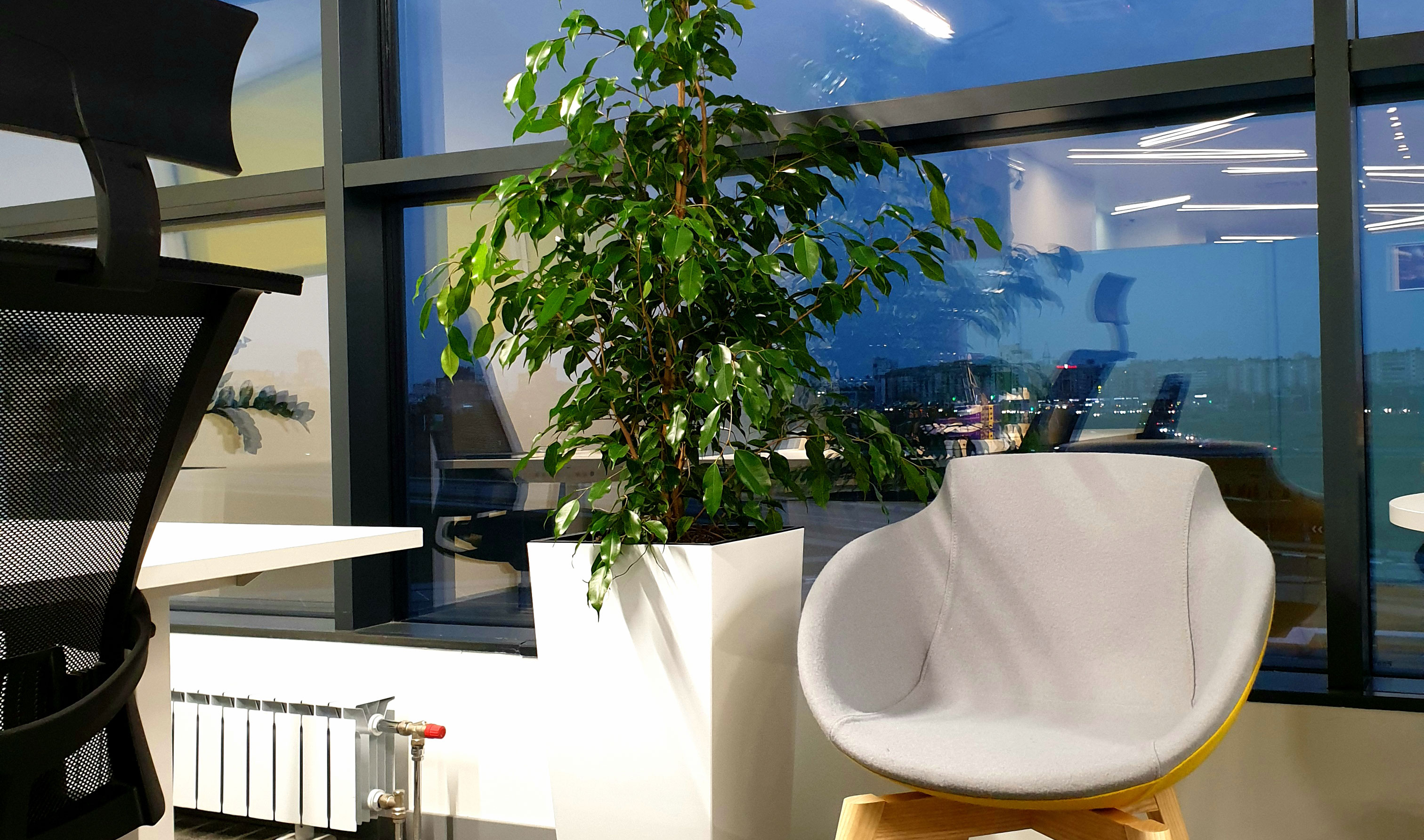 Dynamic Content Image